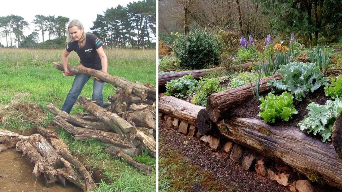Are You Missing Out on the Benefits of Burying Old Logs in Your Garden Beds This Winter?
