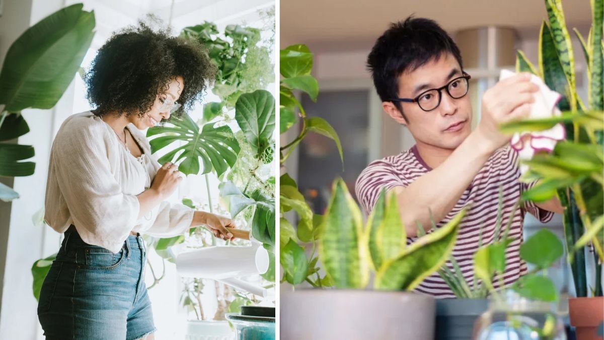 The Surprising Benefits of Daily Conversations with Your Plants Revealed
