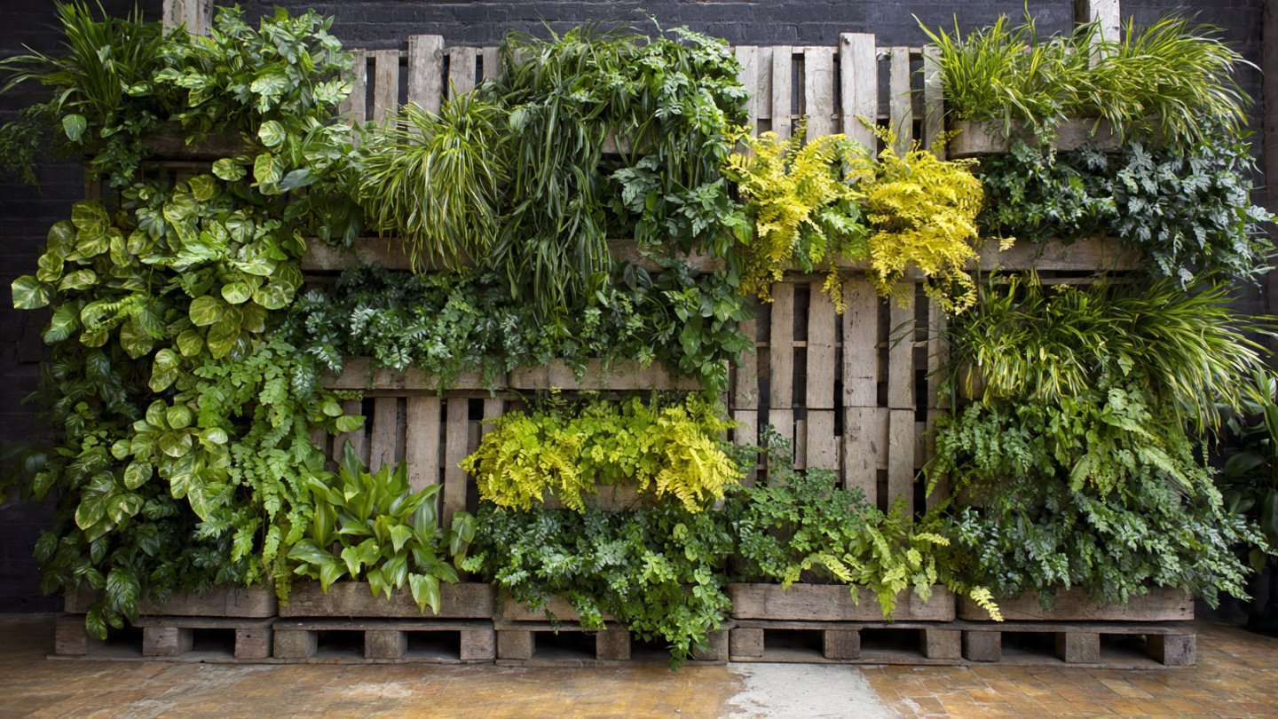 Can You Transform Simple Pallets into a Stunning Vertical Garden?