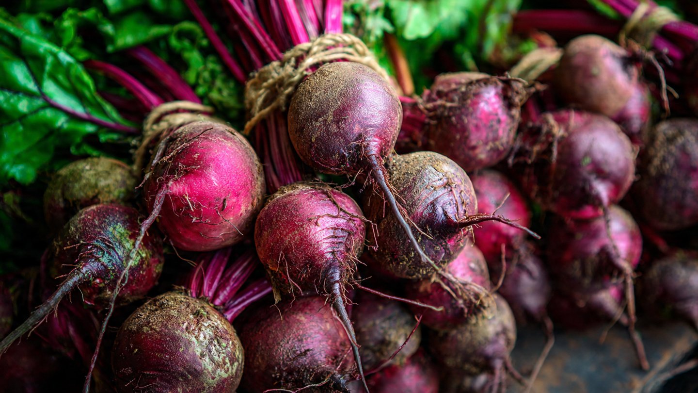 Grow Beetroot at Home: A Complete Guide to Fresh, Healthy & Colorful Harvests