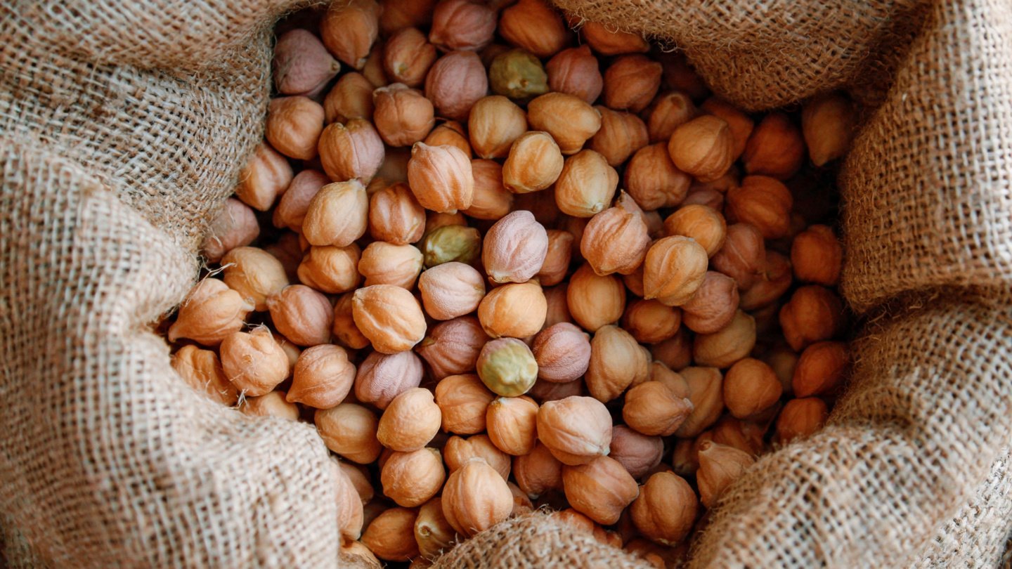 Grow Chickpeas at Home Easily: Step-by-Step Guide to Fresh, Nutritious Beans!