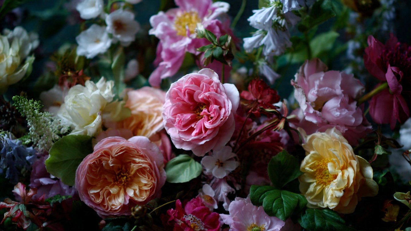 How Did a Funeral Bouquet Give Rise to an Incredible Story of Renewal?