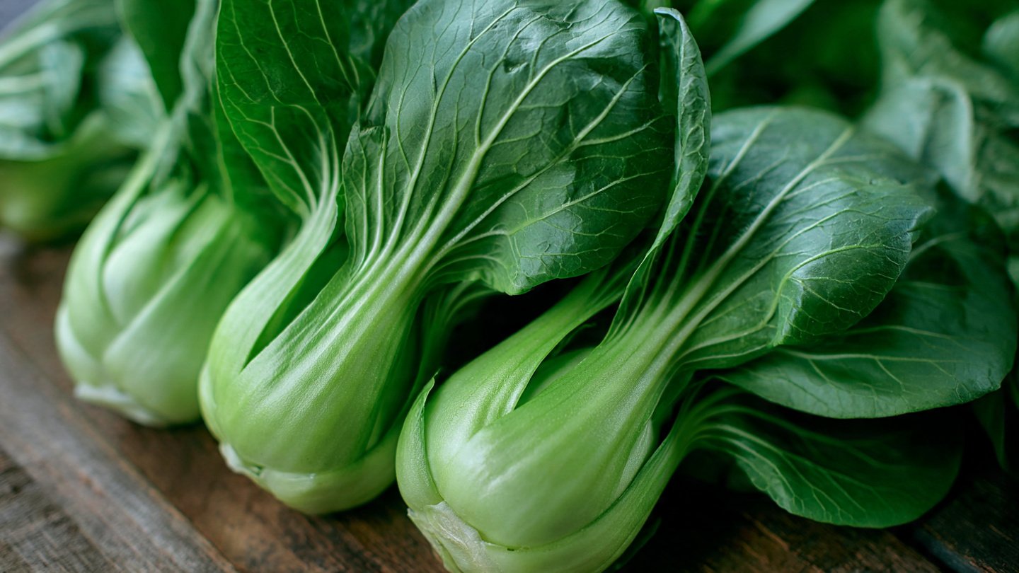 How to Successfully Grow Dwarf Bok Choy Indoors for Fresh Harvests Year-Round