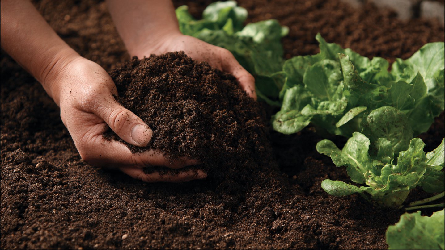 Perfect Soil, Perfect Harvest: A Complete Guide to Preparing Soil and Adding Fertilizer for Maximum Crop Growth