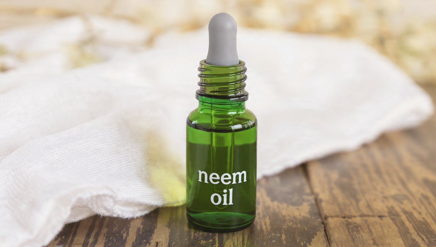 What Are the Most Effective Methods for Using Neem Oil Without the Strong Smell?