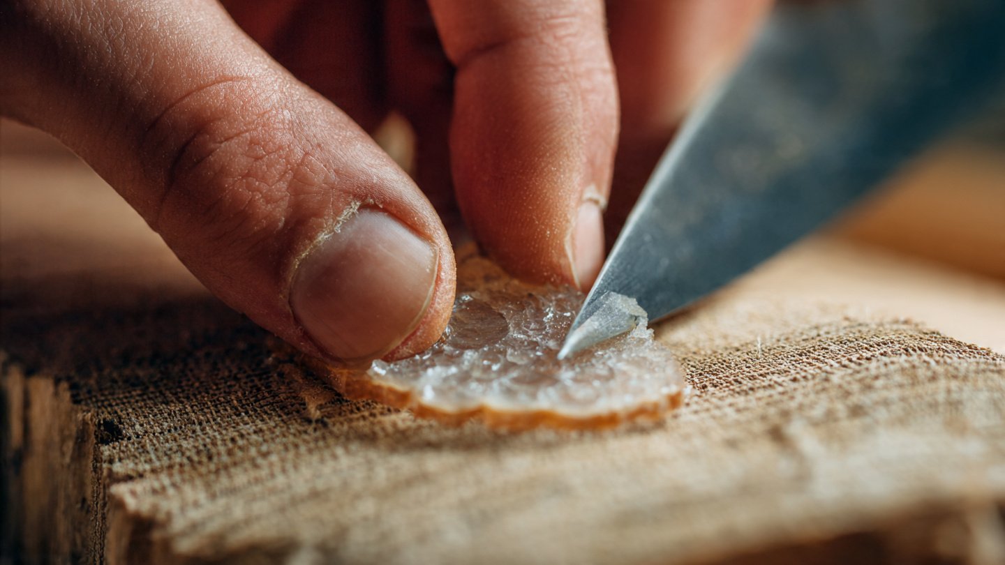 Why Should You Avoid Touching the Callus of a New Cutting