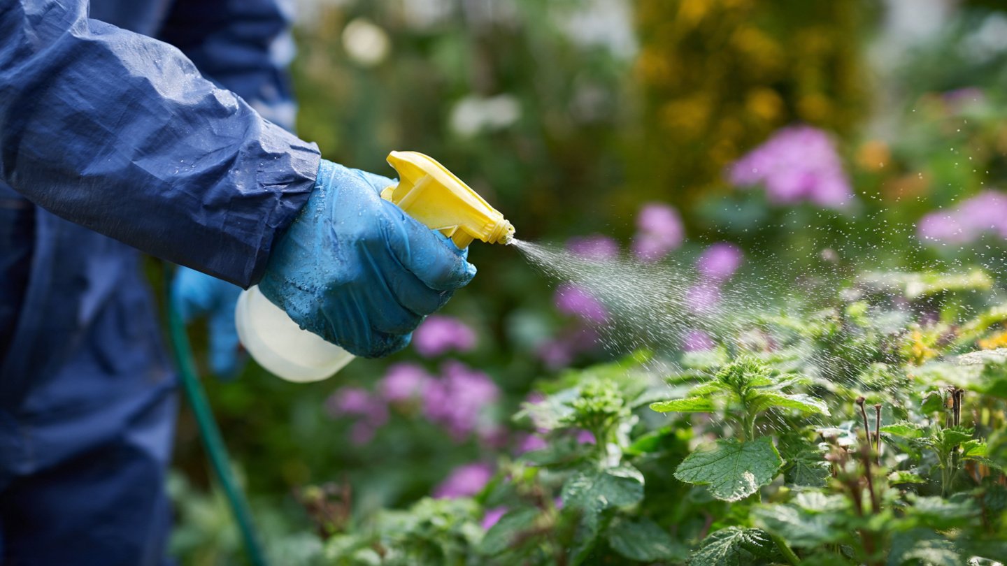 Why Should You Spritz Your Garden Weeds with Vinegar Spray?